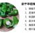 【一件代发】产地直销余干枫树辣椒露天采摘嚼不留渣