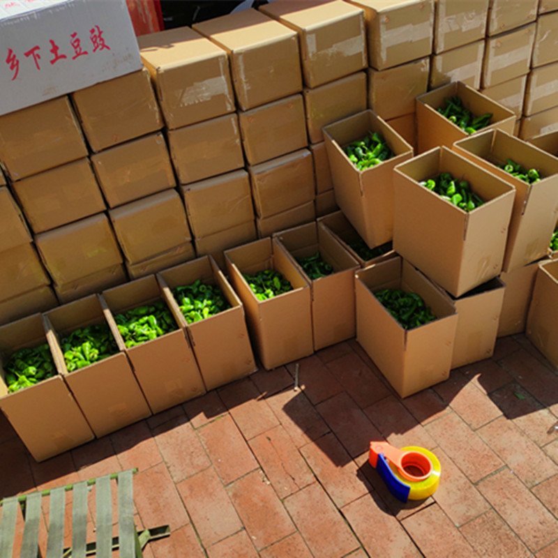 【一件代发】产地直销余干枫树辣椒露天采摘嚼不留渣