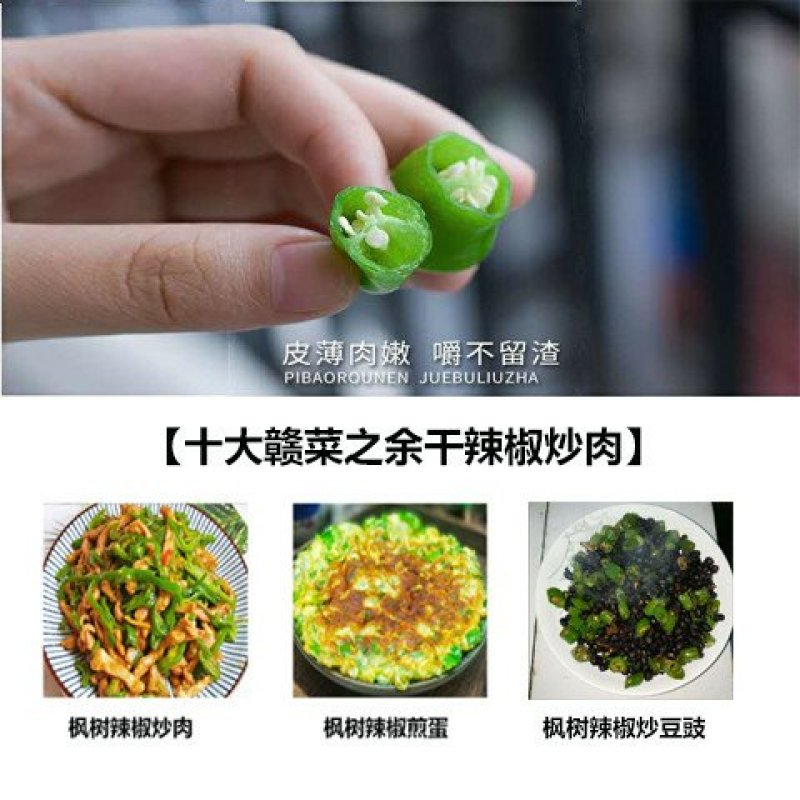 【一件代发】产地直销余干枫树辣椒露天采摘嚼不留渣