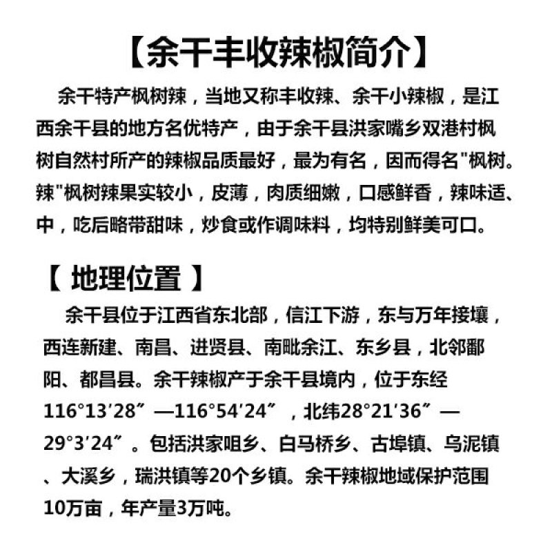 【一件代发】产地直销余干枫树辣椒露天采摘嚼不留渣
