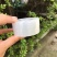 嫁接膜专用膜嫁接神器绑带扎带无需打结自粘性缠绕