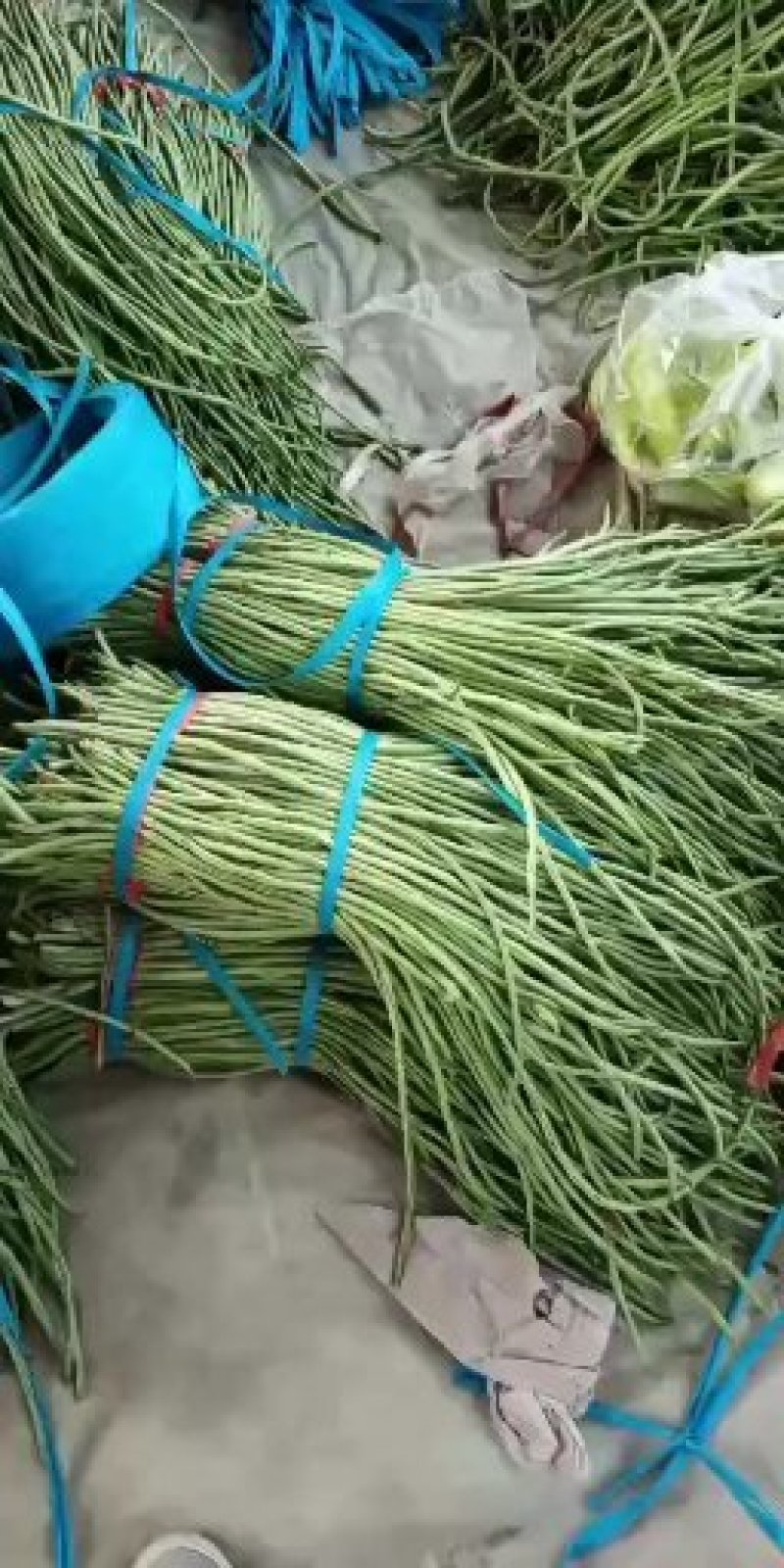长豆角