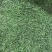 四川峨眉山高山【金针小龙芽】，一斤两盒装，支持全囯一件代