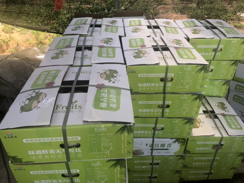 椰子厂厂家直销一手货源充足厂家直销厂家欢迎咨询