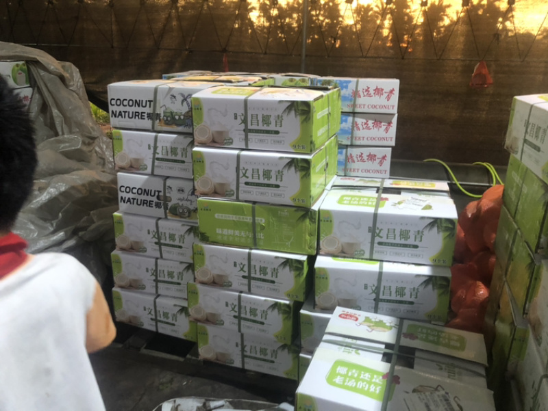 椰子厂厂家直销一手货源充足厂家直销厂家欢迎咨询