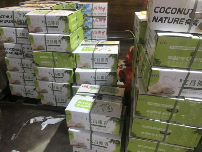 椰子厂厂家直销一手货源充足厂家直销厂家欢迎咨询