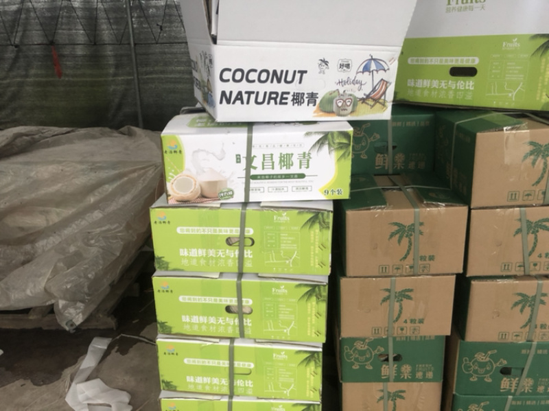 椰子厂厂家直销一手货源充足厂家直销厂家欢迎咨询