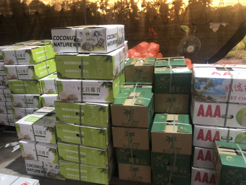 椰子厂厂家直销一手货源充足厂家直销厂家欢迎咨询