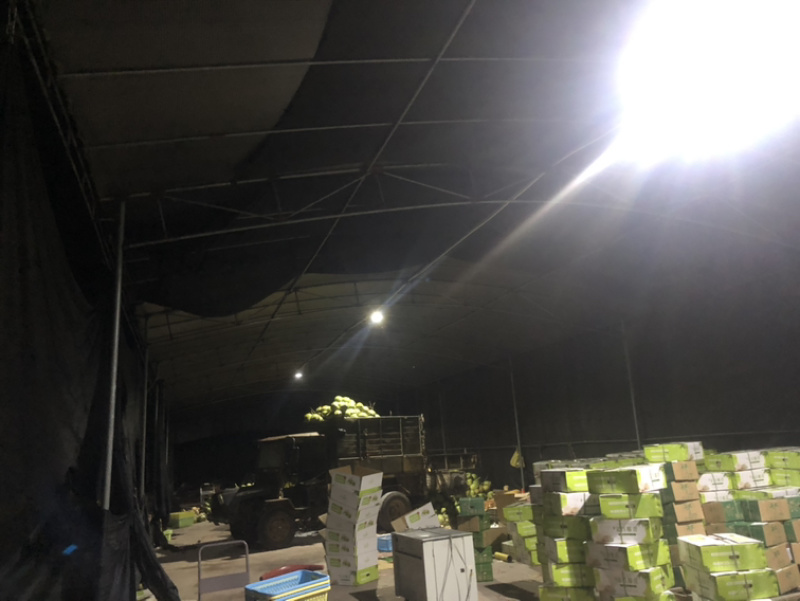 椰子厂厂家直销一手货源充足厂家直销厂家欢迎咨询