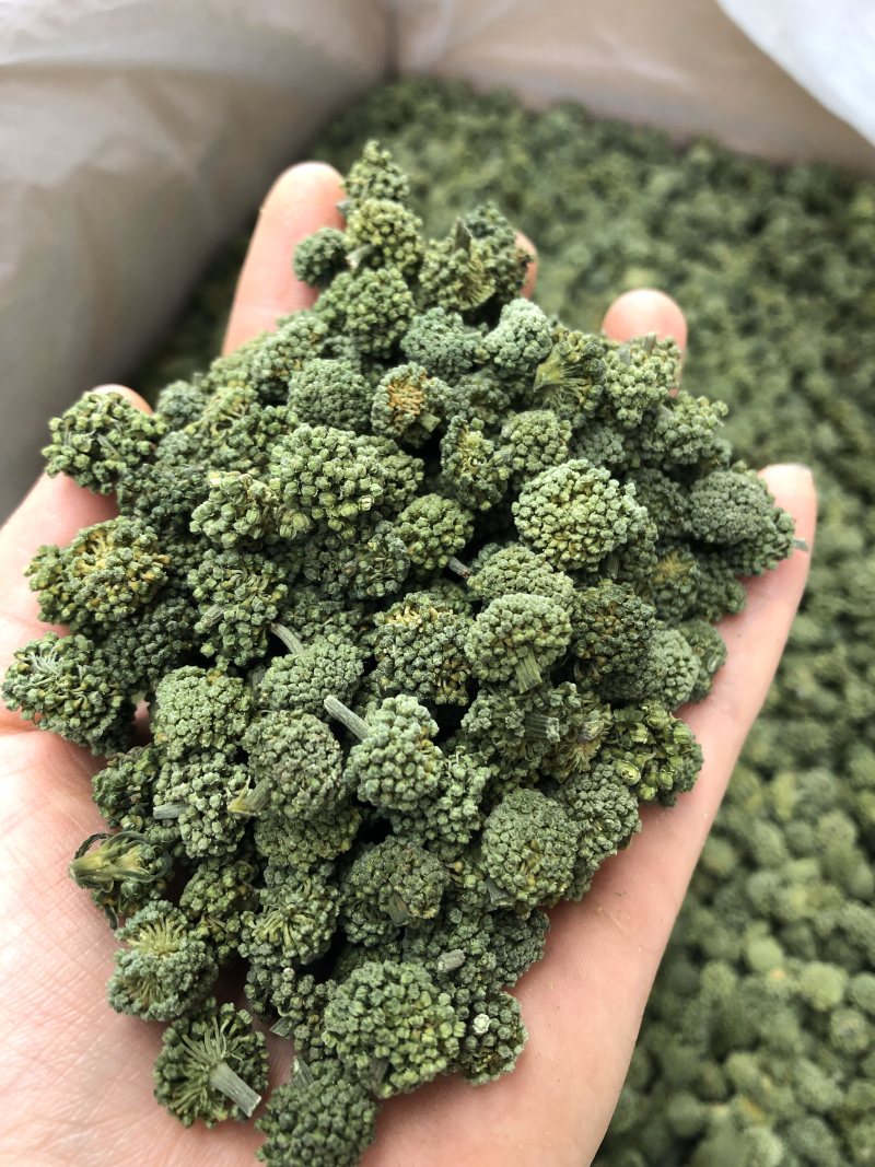 三七花，云南文山三七花，颜色好，花朵紧致