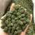三七花，云南文山三七花，颜色好，花朵紧致