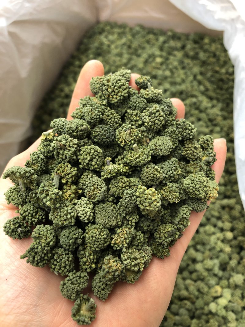 三七花，云南文山三七花，颜色好，花朵紧致