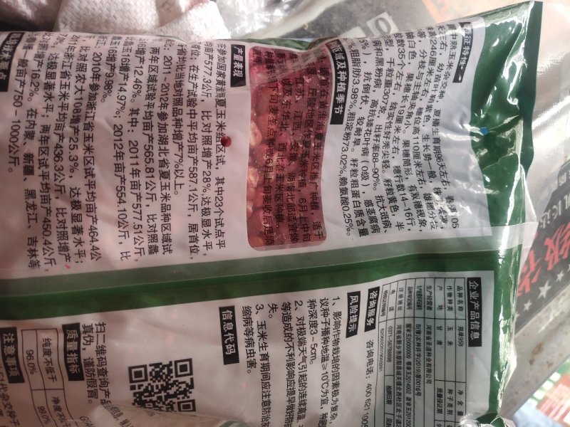 玉米种子，大品种，杂交种，