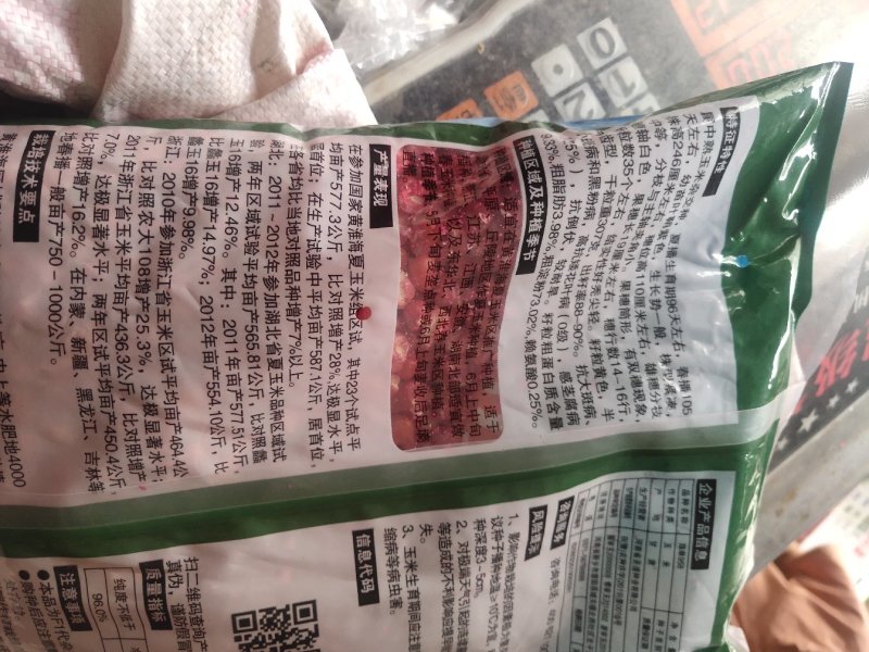 玉米种子，大品种，杂交种，