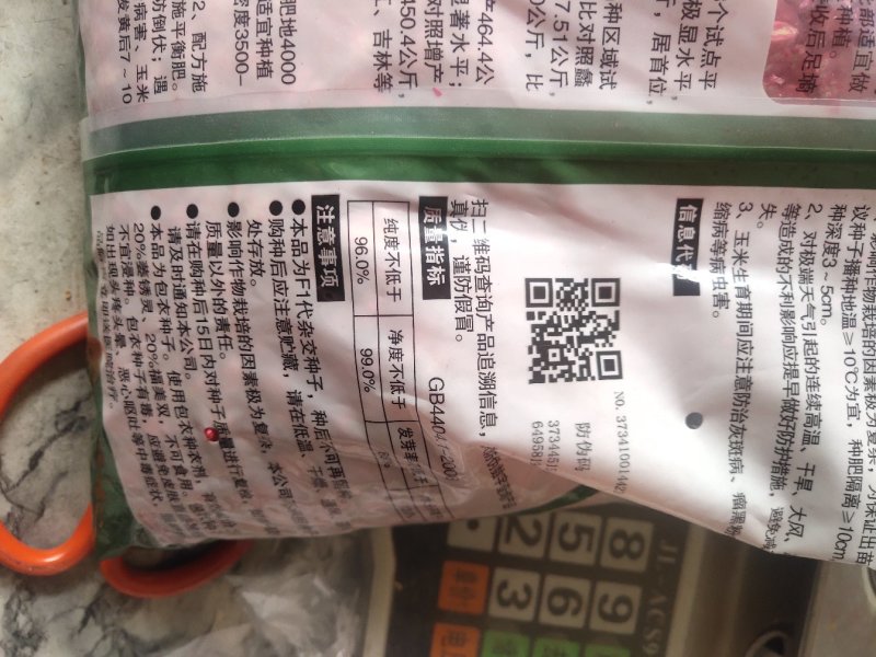 玉米种子，大品种，杂交种，