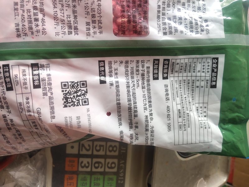 玉米种子，大品种，杂交种，