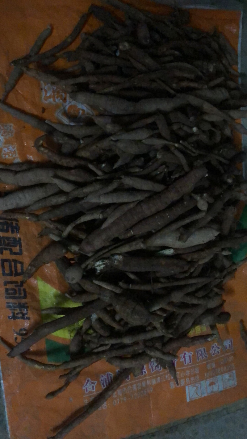 野生牛大力金钟根纯野