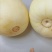 小香瓜