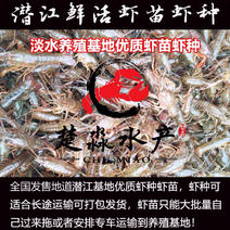 潜江基地小龙虾鲜活虾种抱卵青苗活体淡水养殖繁殖
