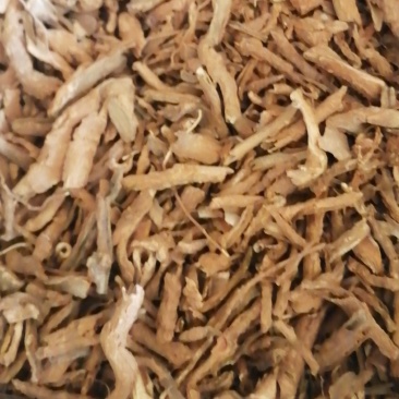 地骨皮，大量上市中，欢迎采购
