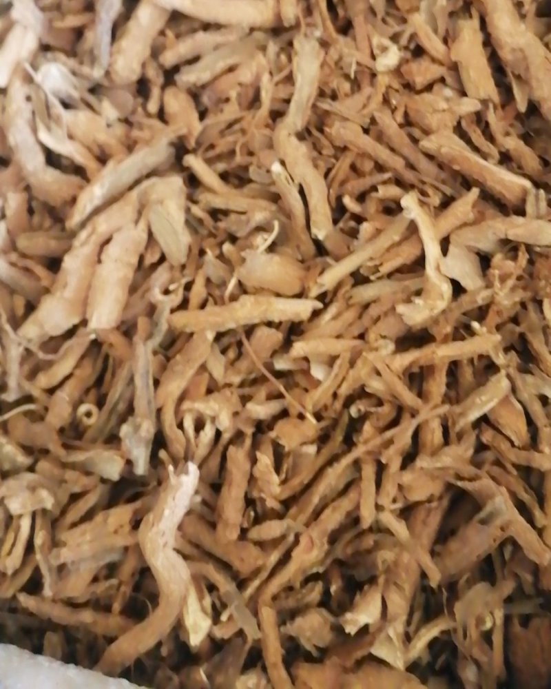 地骨皮，大量上市中，欢迎采购
