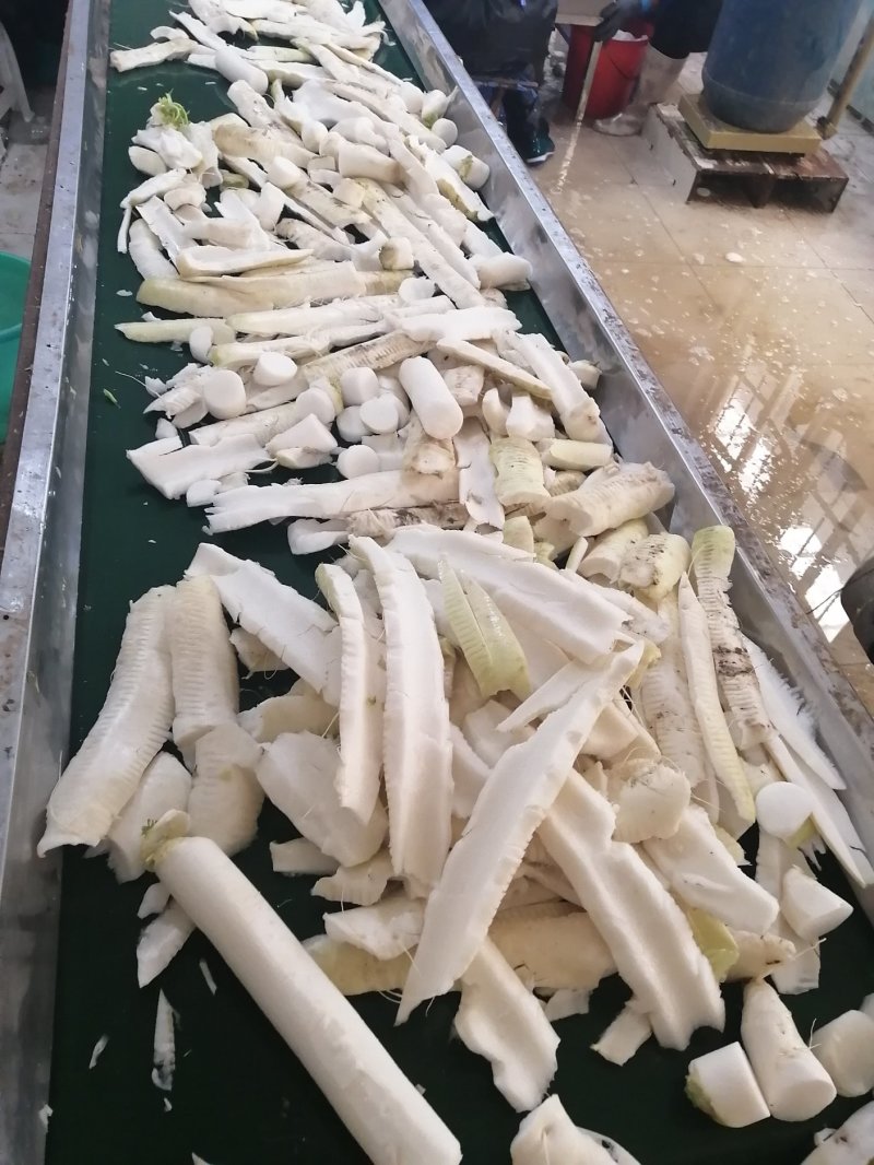 萝卜皮