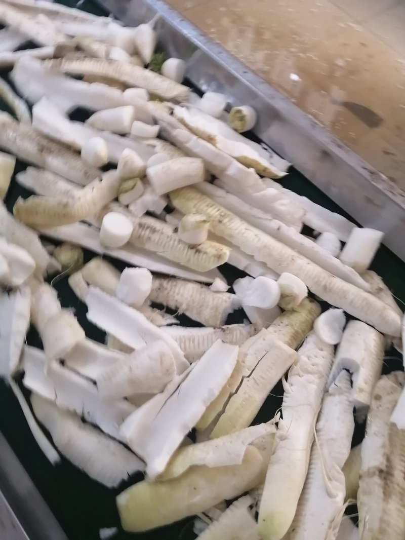 萝卜皮