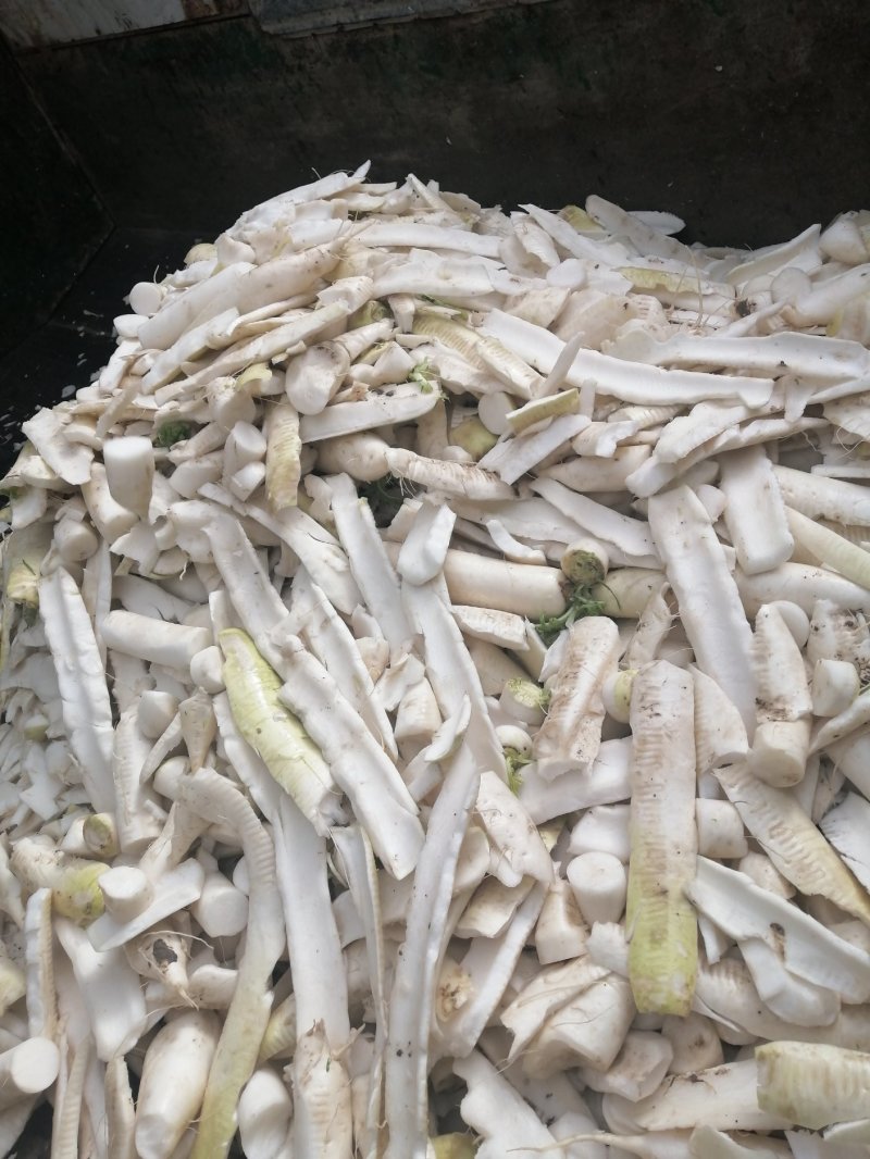 萝卜皮