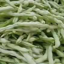 山东优质芸豆大量上市，质量上乘价格实惠，全国发货！
