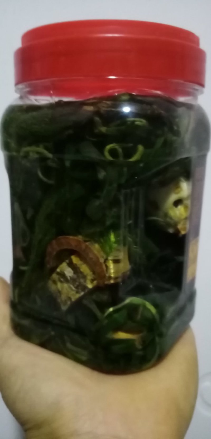 四川地道药材男人药酒泡制药酒