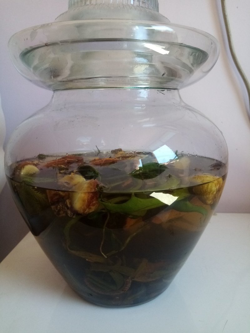 四川地道药材男人药酒泡制药酒