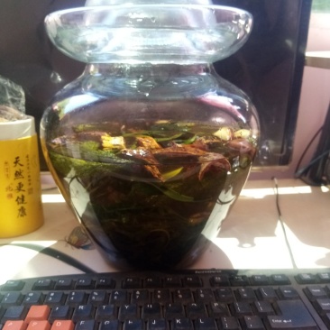 四川地道药材男人药酒泡制药酒