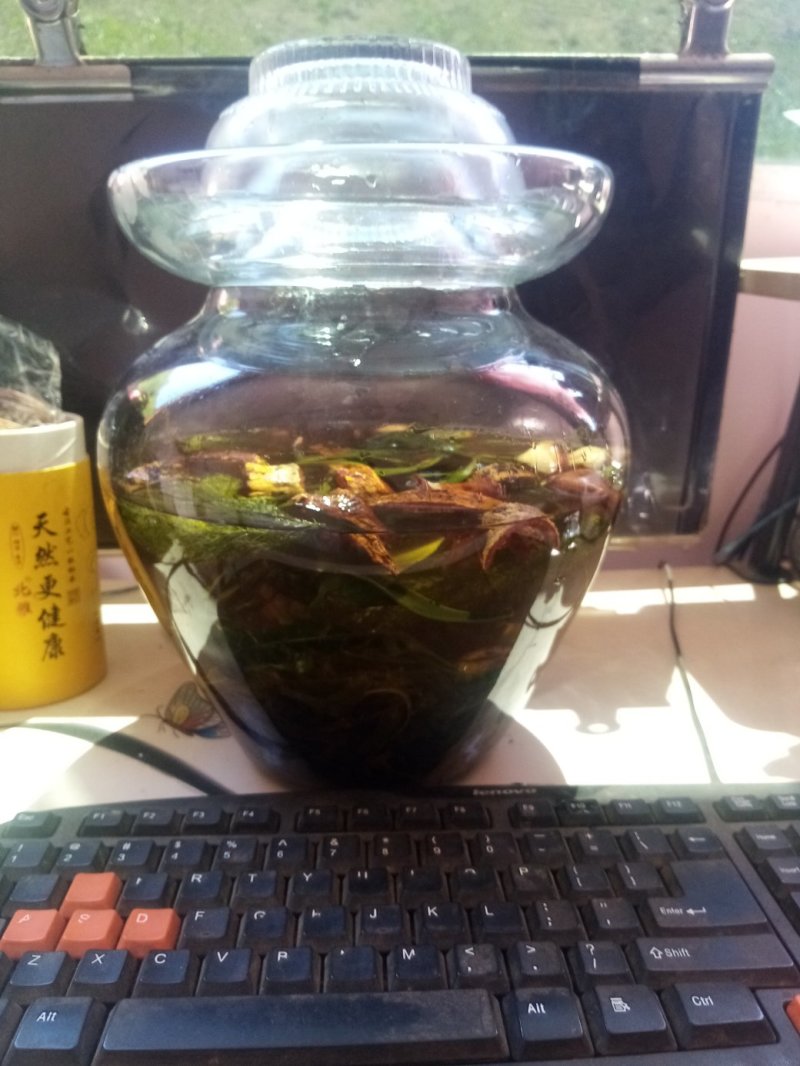 四川地道药材男人药酒泡制药酒
