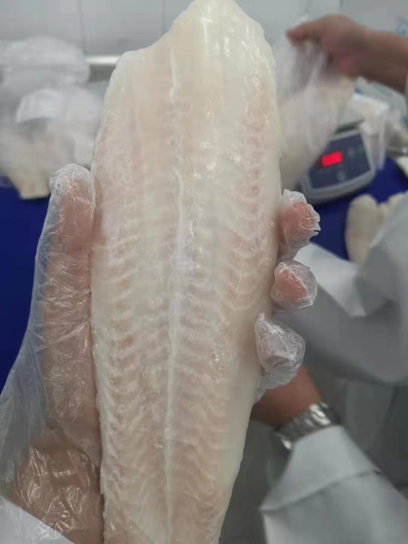 越南高品质巴沙鱼柳