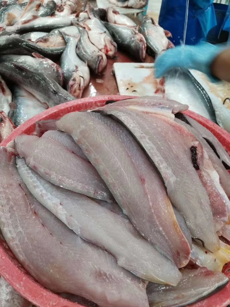 越南高品质巴沙鱼柳