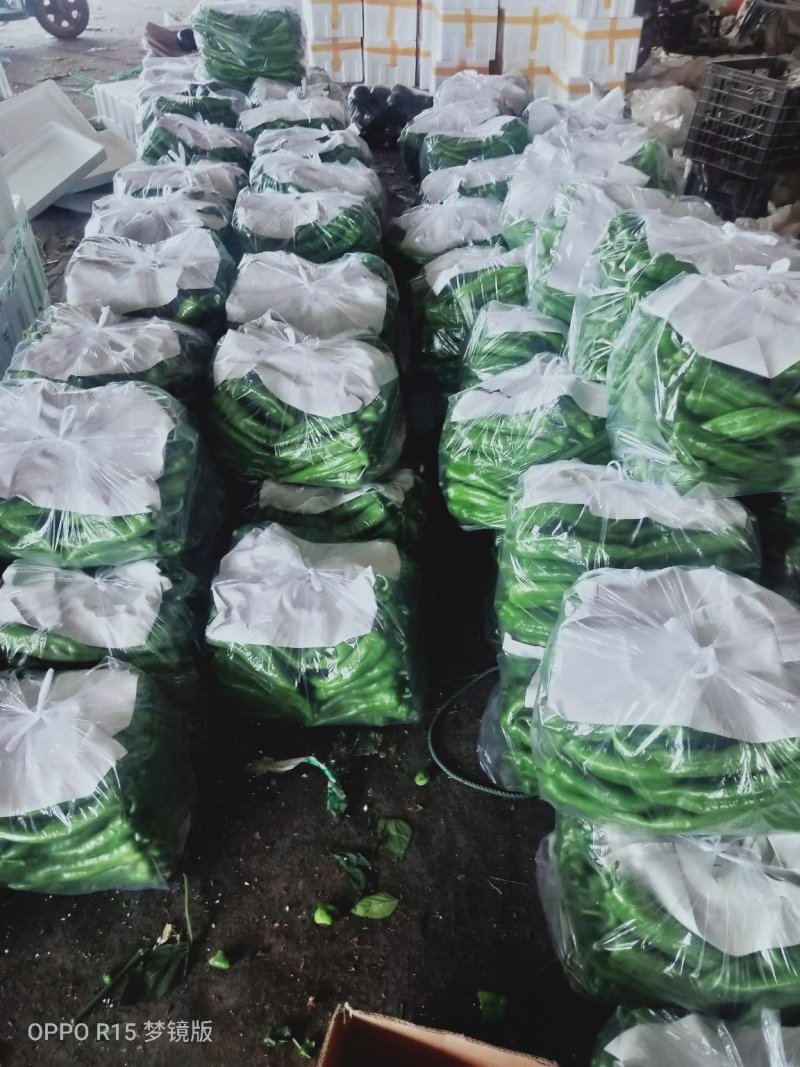 黄皮尖椒产地直供，规格25厘米左右，质量好