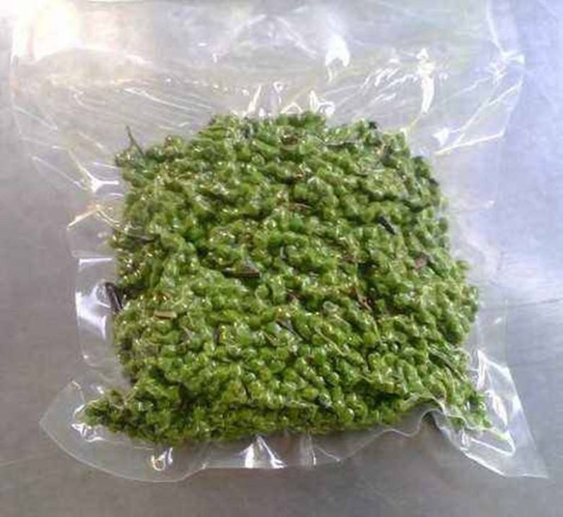 代收九叶青鲜花椒