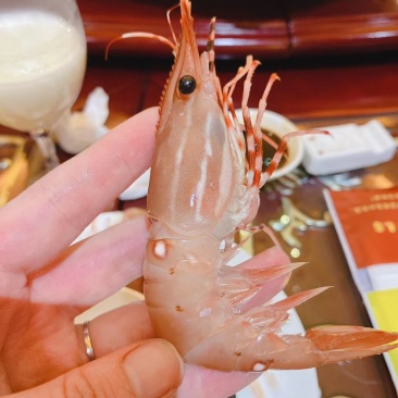 新鲜好吃高品质加拿大牡丹虾