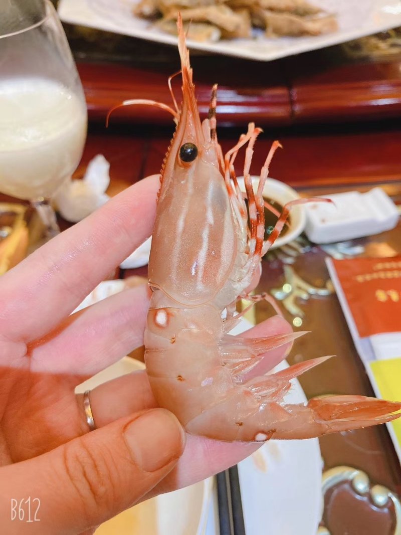 新鲜好吃高品质加拿大牡丹虾