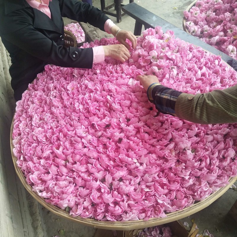 玫瑰花酱酒，（大马士革）