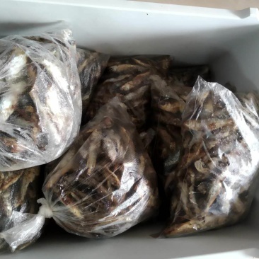 粤北乳源南水水库鱼仔鱼干