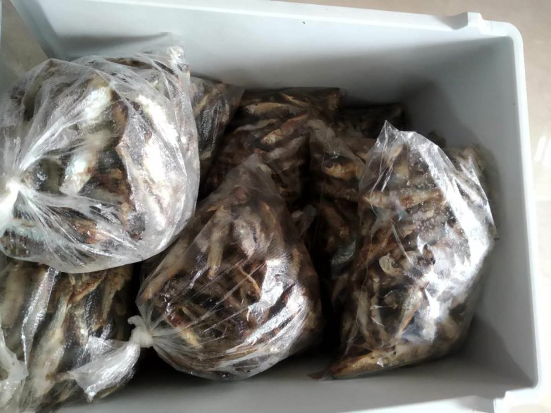 粤北乳源南水水库鱼仔鱼干