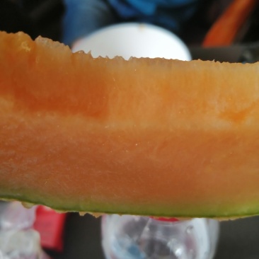 新疆哈密瓜