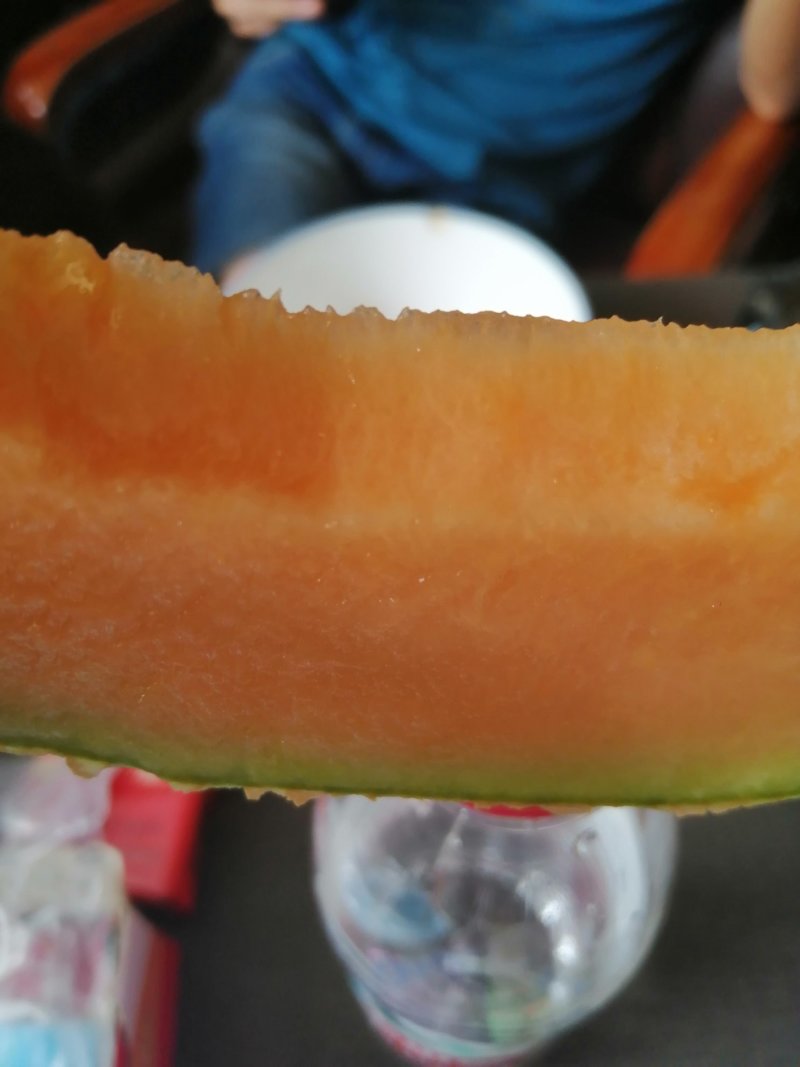 新疆哈密瓜