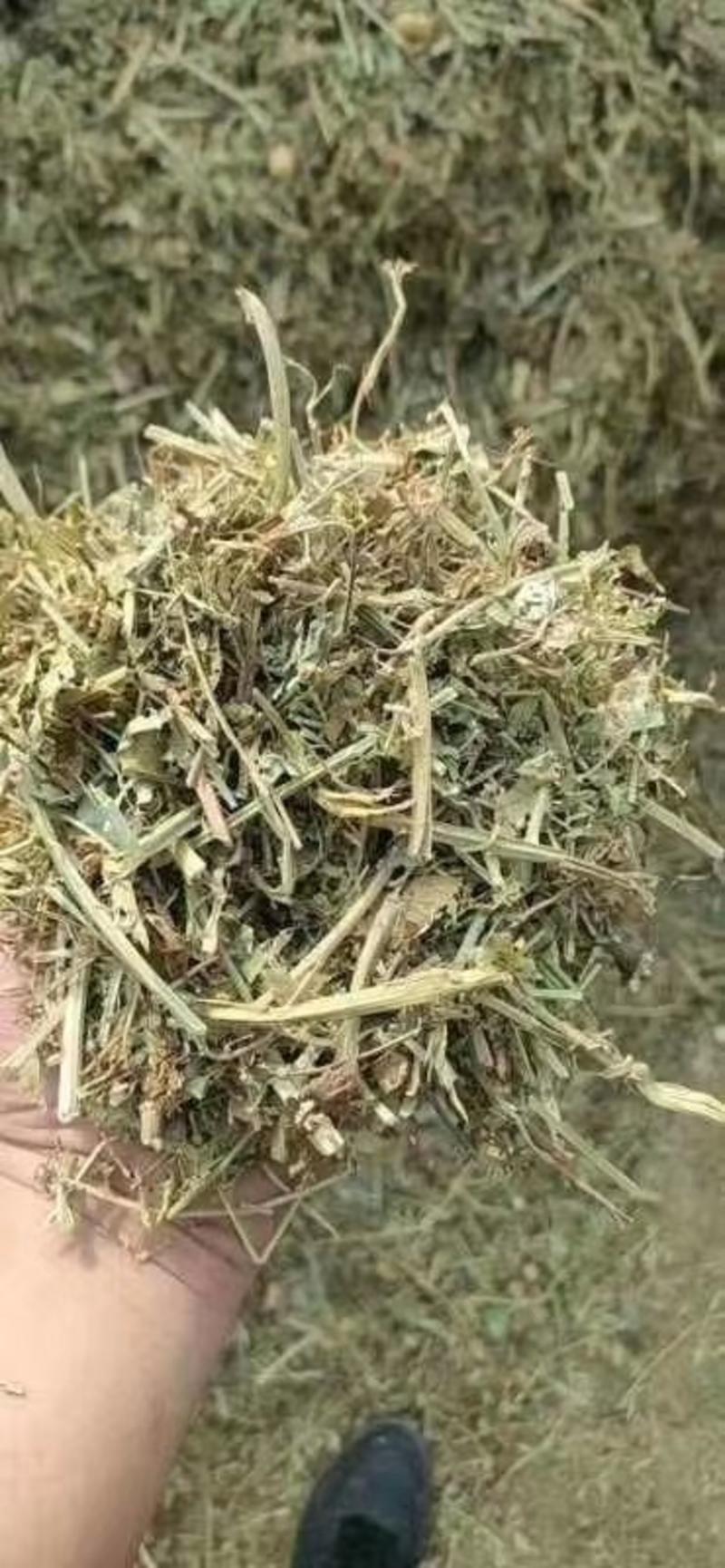 花生秧牛羊草常年出售软包压块花生秧花生秧草粉