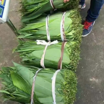 粽叶