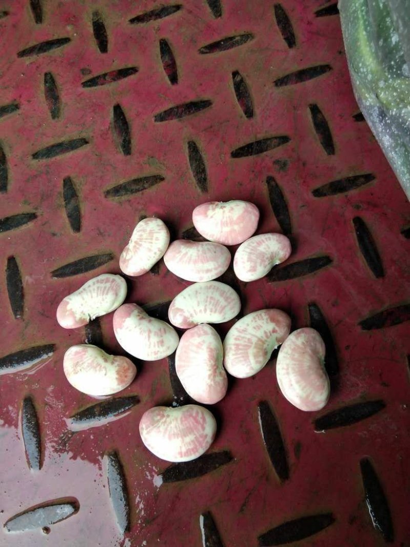 粽叶