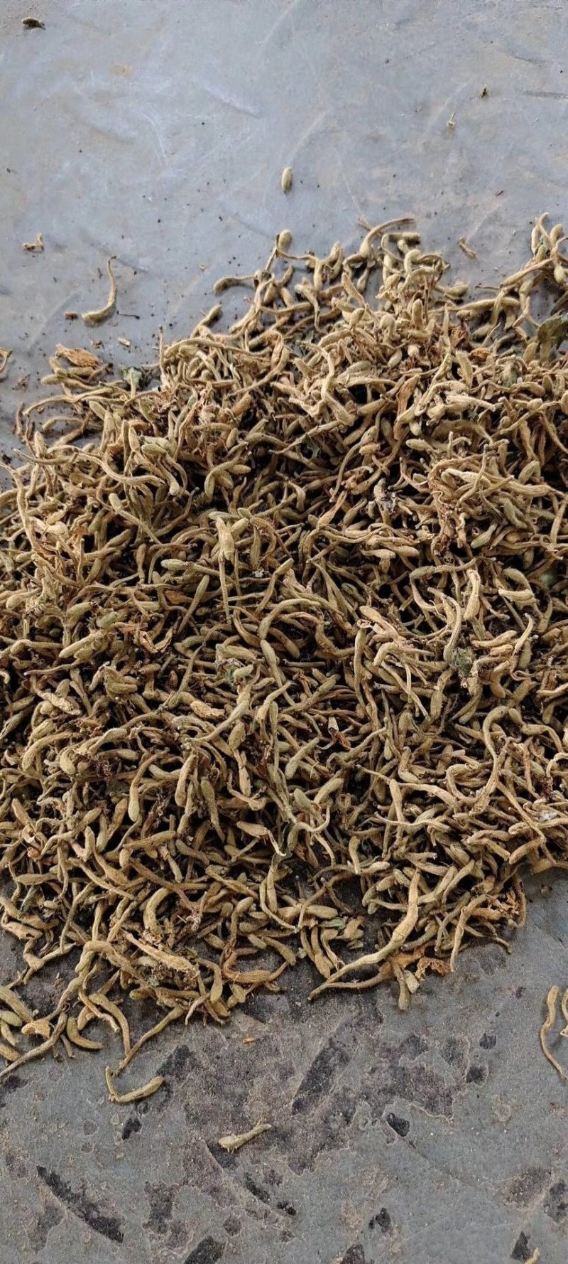 金银花，陕西商洛购销各种规格无硫净货产品，欢迎老板联系