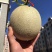 鲁厚甜代收代发支持一件代发，专业团队为你服务，