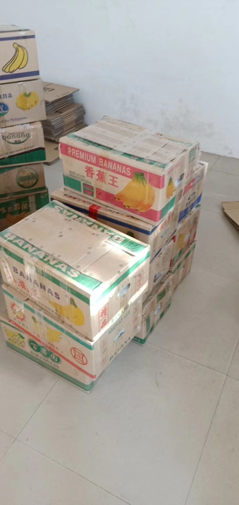 嫁接西瓜苗苗厂直供价格优惠甜王美都